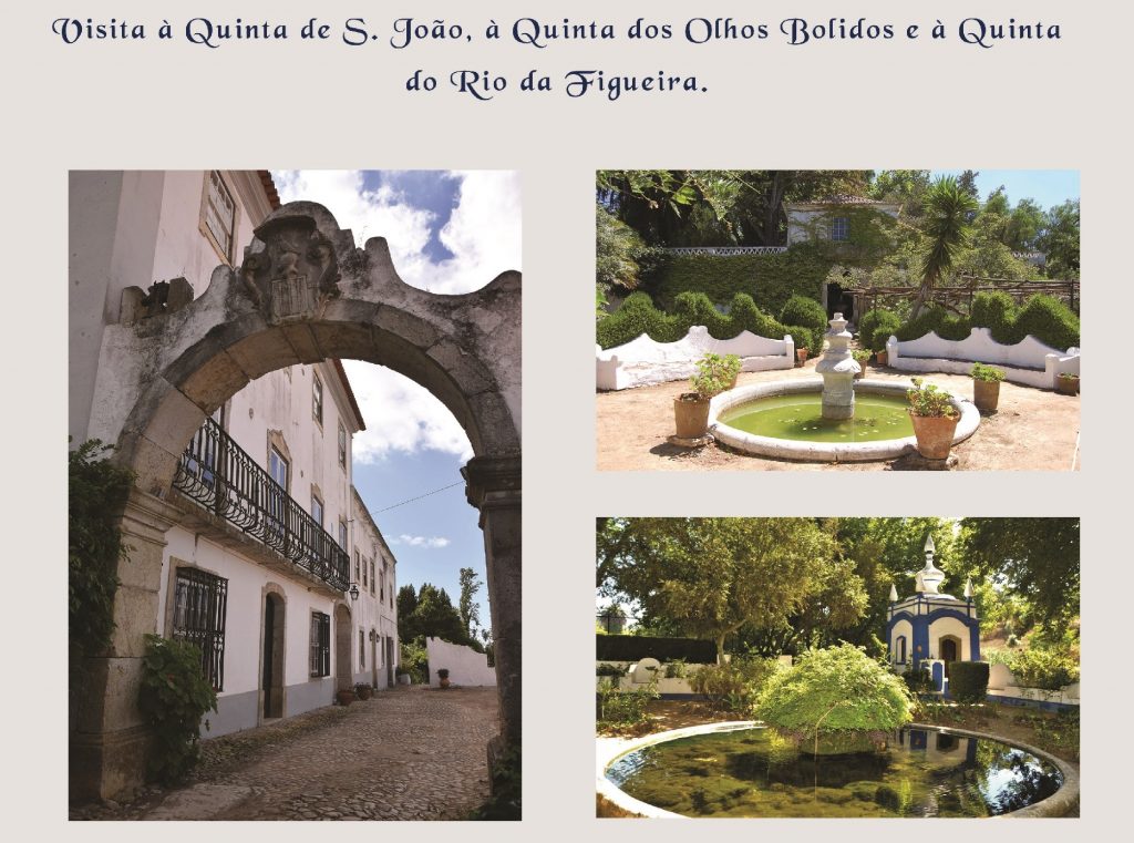 O Encanto Das Quintas De Santiago – Câmara Municipal De Santiago Do Cacém